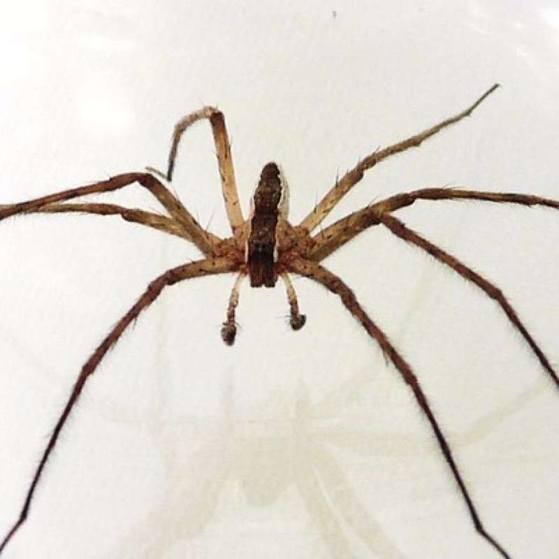 School and Daycare Pest Control